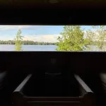 Harmaalokki Savonlinna