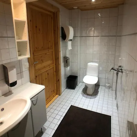 Harmaalokki