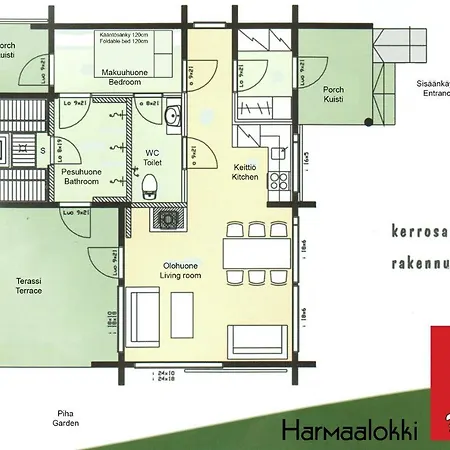 Harmaalokki