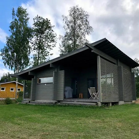 Harmaalokki *