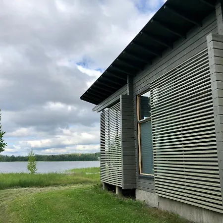 Harmaalokki