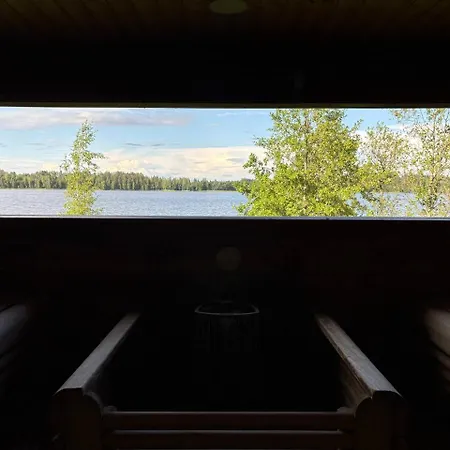 Harmaalokki Savonlinna
