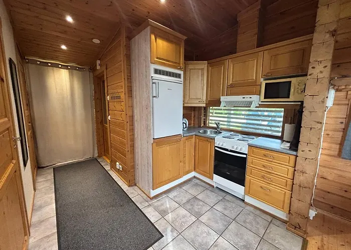 Harmaalokki Savonlinna