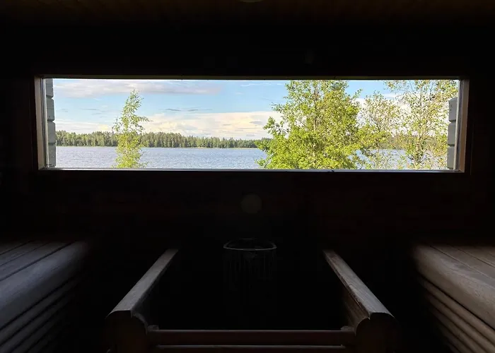 Harmaalokki Savonlinna