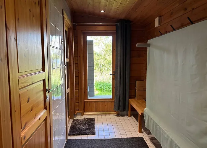 Harmaalokki * Savonlinna